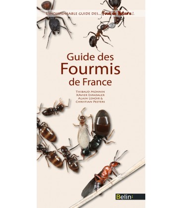 Guide des Fourmis de France