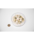 Pack Fondation: ADC Mountain + Colonie Lasius Niger