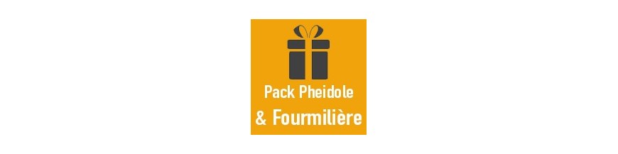 Pack Pheidole